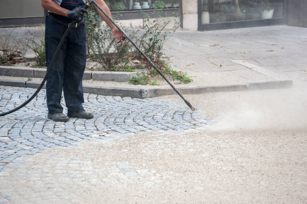 Best Dumpster Area Cleaning  in University Park, NM